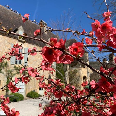 Bed and Breakfast La Tour De Cause Castelnaud La Chapelle Exterior foto