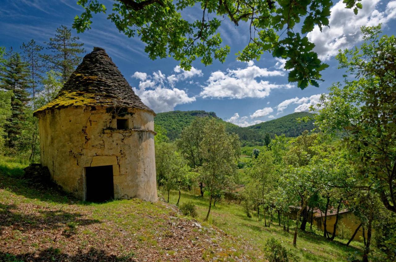 Bed and Breakfast La Tour De Cause Castelnaud La Chapelle Exterior foto