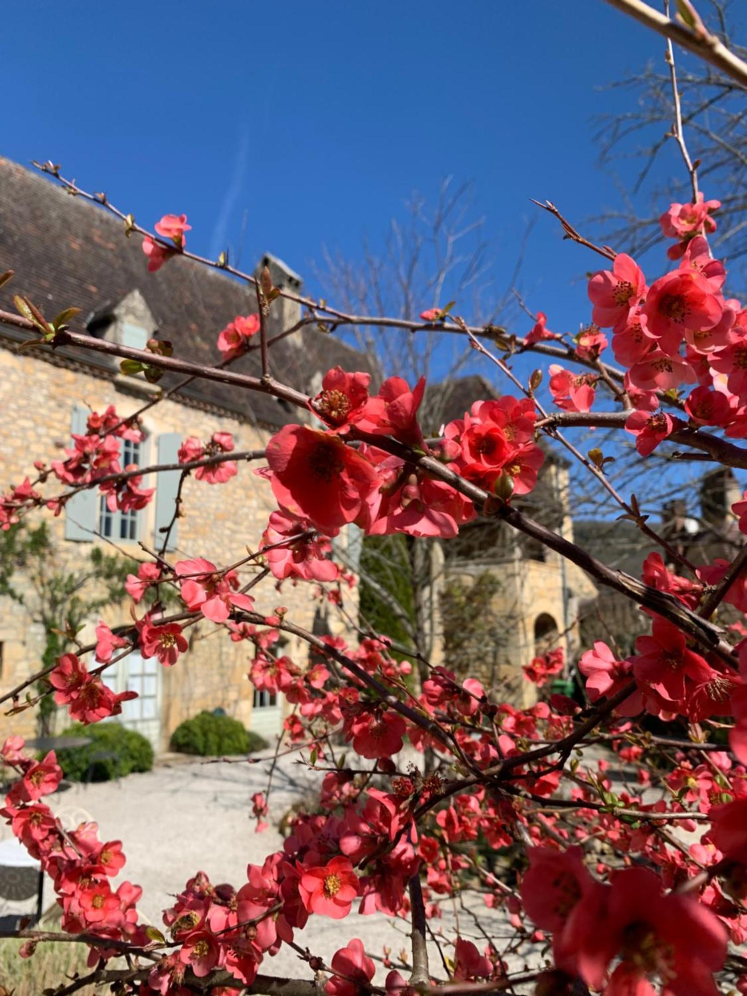 Bed and Breakfast La Tour De Cause Castelnaud La Chapelle Exterior foto