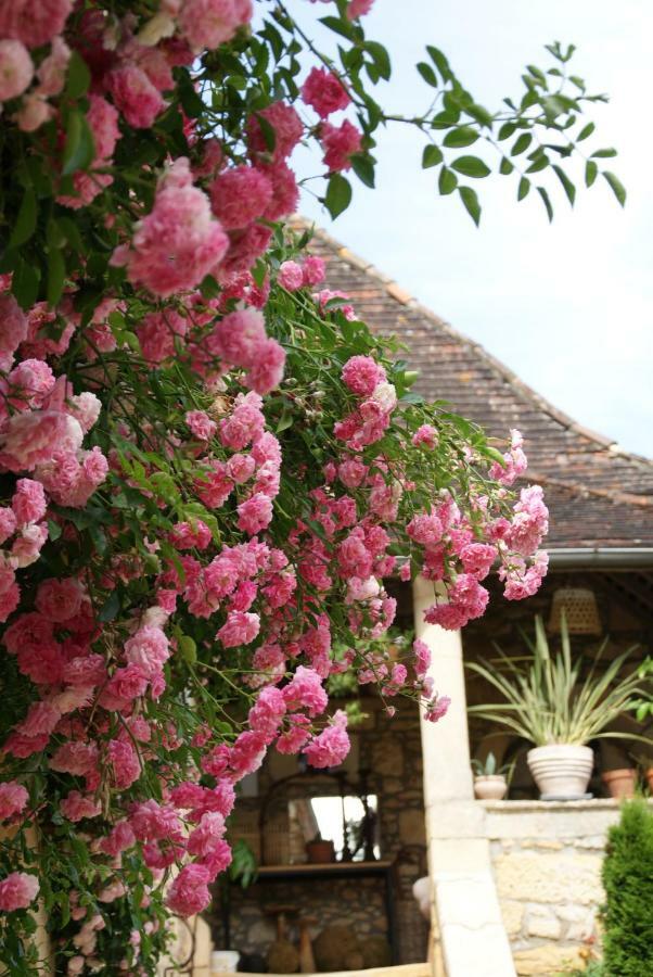 Bed and Breakfast La Tour De Cause Castelnaud La Chapelle Exterior foto